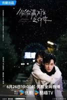 偷偷藏不住电视剧在线观看免费